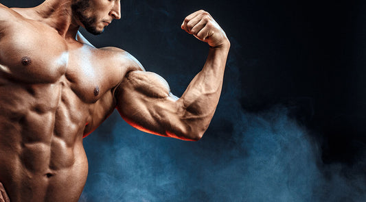 Can Hand Grippers Build Biceps? The Ultimate Bicep-Building Showdown!