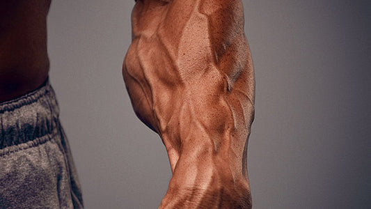 Will Hand Grippers Give You Veins? The Roadmap to Vascularity Revealed!