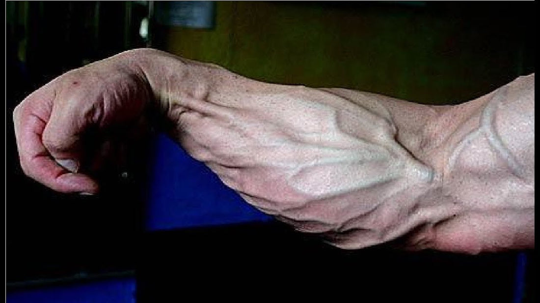Can Hand Grippers Build Veins? The Truth Behind the Pumped-Up Myth